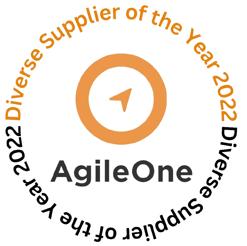 Diverse Supplier Of The Year 2022 by Agile One - N2S